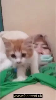 Video 13 Dec 02 31 - Bacol Viral Terbaru