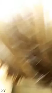 Video 2024 09 23 11 02 26 - Bahan Ngocok Terbaru