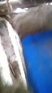 Video 2023 02 26 22 43 16 - Koleksi AV Tub