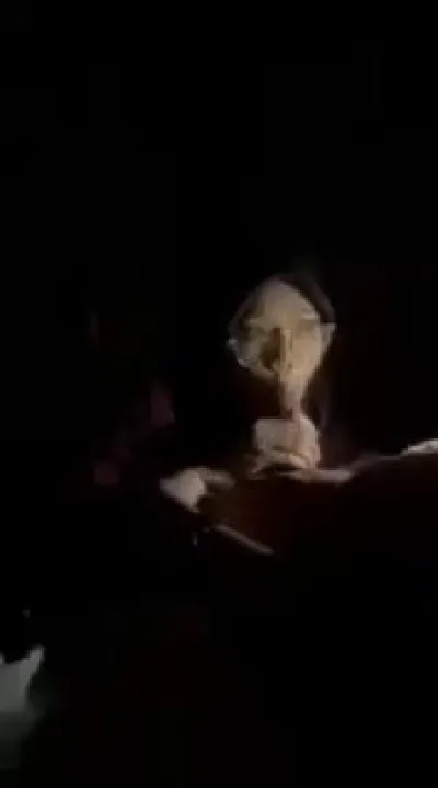 180 - Labokep 2026 Terbaru