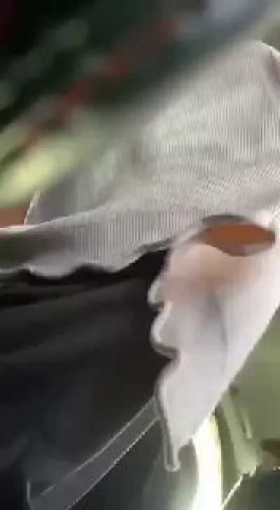 309 - Konten Viral 2026 Dewasa